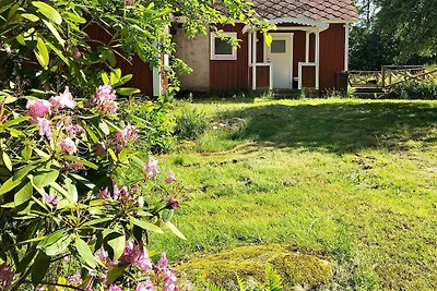 6 persoons vakantie huis in Hallabro