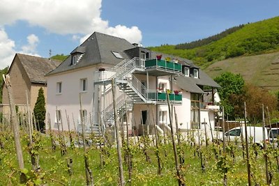 Schicke Ferienwohnung in Trittenheim zwischen...