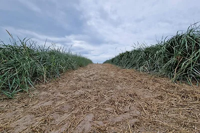 Geraumiges Refugium mit Blick -- By Traum...