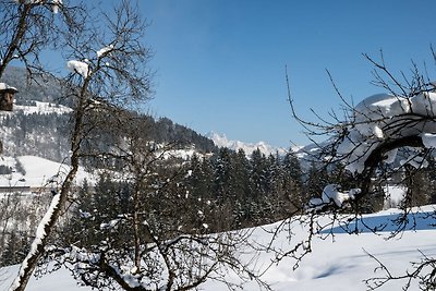 Villa in der Nähe des Skigebietes in Salzburg