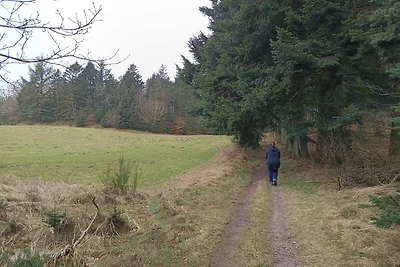 8 Personen Ferienhaus in Brovst-By Traum