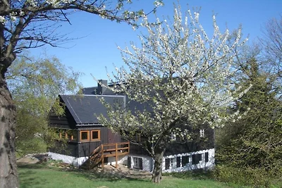 Vakantieappartement met 1 slaapkamer