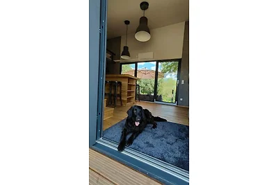 Tiny House in der Nähe von Dresden