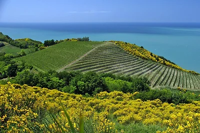 Ferienanlage Casa Mare Vallugola die Gabicce,...