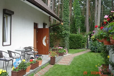 Ferienhaus mit Pool in Morzyczyn
