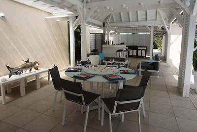 Villa sull'albero del viaggiatore