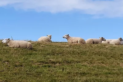 Moderne Kustenrefugium -- By Traum...