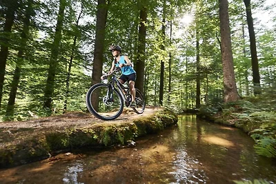 Ferienhaus Erholungsurlaub Bodenmais