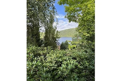 Noah -Seeleben auf Zeit