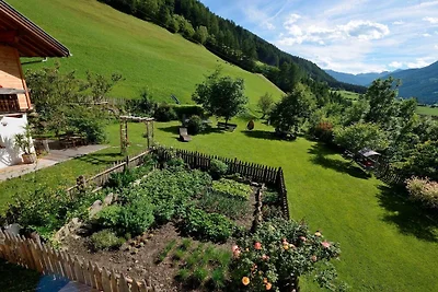 Rainer in der Baurschaft