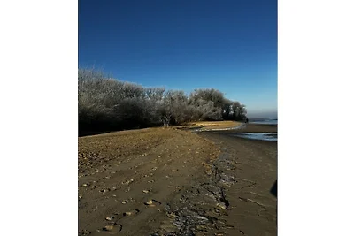 Il sogno di Michael sull'Elba