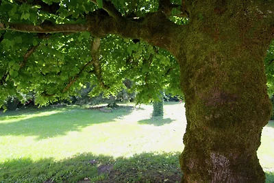 Garten (Sommer) Garten (Sommer)