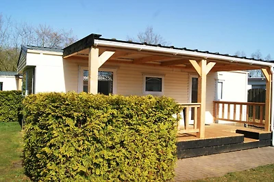 Schönes Chalet in Appelscha in Waldnähe