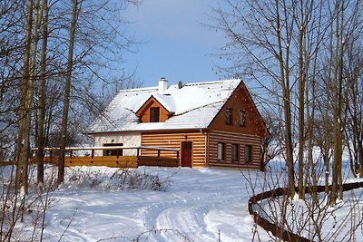 Luxuriöse Villa in Božanov mit Sauna