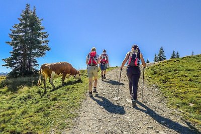 Wohnung in Brixen im Thale mit einer Terrasse