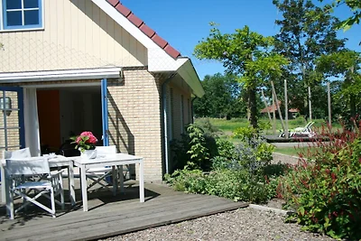 Ferienhaus in Schoorl mit Schwimmbecken