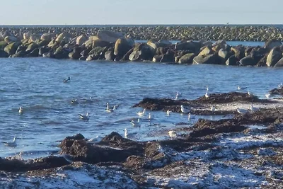 Serenita Marina a Hummingen-By Traum