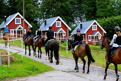Ferienhaus am Meer mit Reiten