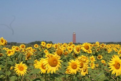 Holiday apartment in Ouddorp with Swimming...