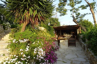La fontaine vieille, Vence
