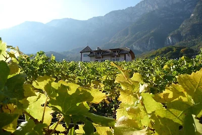 Chardonnay -  Santlhof