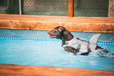 Freundliches Mobilheim im Rimini Familiy...