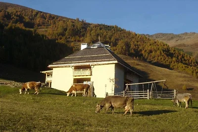 Strohhaus - Natürliches Ferienwohnen