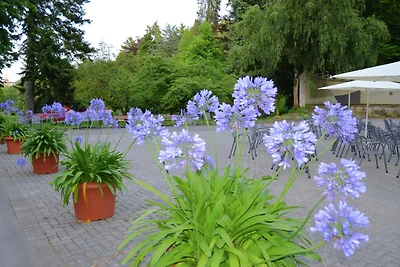 Wohnung mit eigener Terrasse in Hüddingen