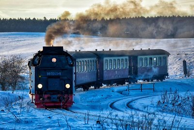 Doppelhaushälfte in Hasselfelde-ehem. TUI