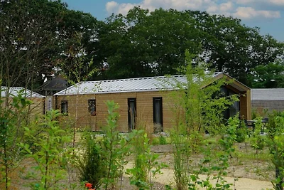 Ferienhaus in Otterlo mit Terrasse