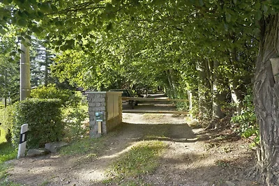 Vista verso sud ai margini della foresta