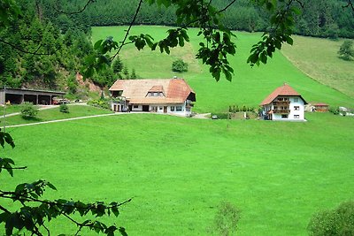 Schwarzwälder Bauernhof in absolut ruhiger un...