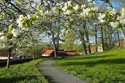 Ferienwohnung mit 2 Schlafzimmer