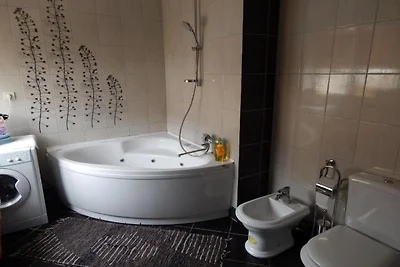Deluxe One Bedroom Apartment C