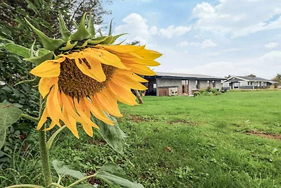 6 Persone case ad Løkken