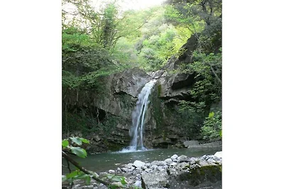 Ferienwohnung mit 1 Schlafzimmer