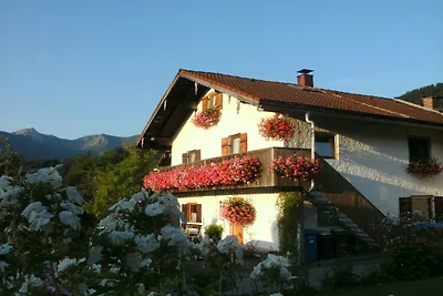 Ferienwohnung mit 1 Schlafzimmer