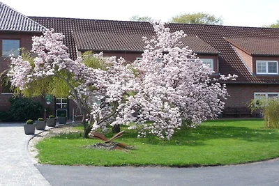 Ferienwohnung mit 2 Schlafzimmer