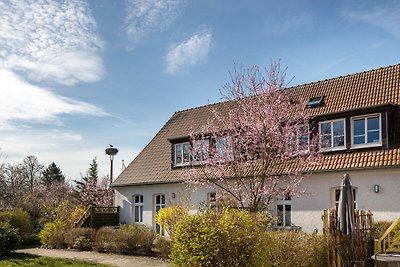 Studio in Buchholz aan het Müritzmeer