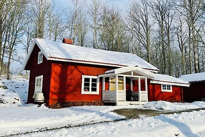 5 Personen Ferienhaus in ÅSEDA