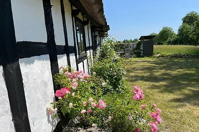 Holzhaus mit rustikalem Charme