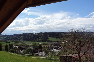 Vogtshof Panoramablick