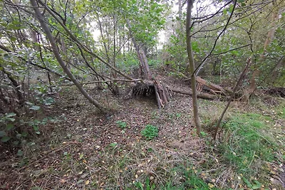 8 Personen Ferienhaus in Dannemare-By Traum