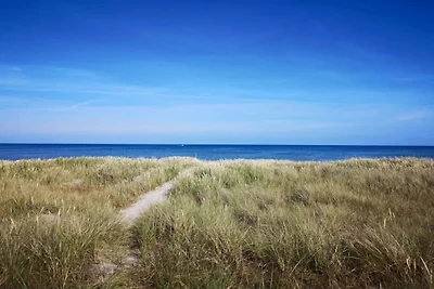 4 Sterne Ferienhaus in Hals-By Traum