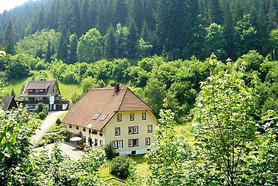 Ferienwohnung im Landhausstil mit Garten