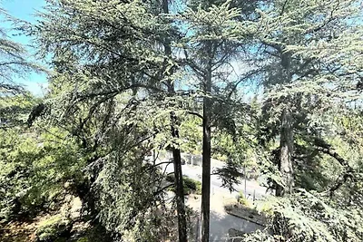 Appartamento a Gréoux-les-Bains vicino alle...