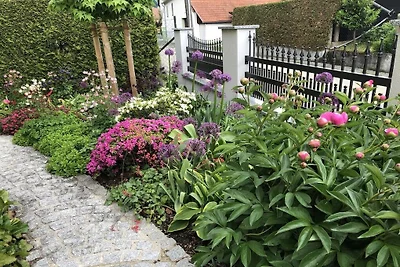 Mieszkanie wakacyjne Sommer Wachau 1
