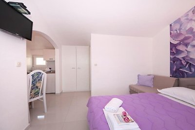 Apartments Villa Angela - Studio Apartment wi...