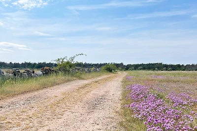 4 sterren vakantie huis in LÖTTORP-By Traum