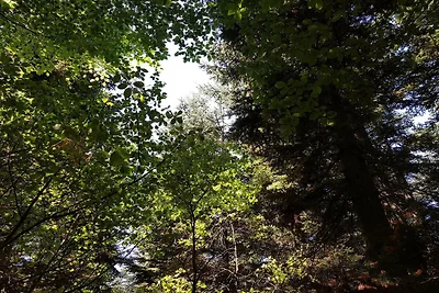Familienhaus mit Terrasse und Liegewiese